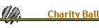 Charity Ball