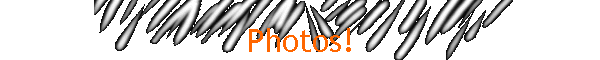 Photos!